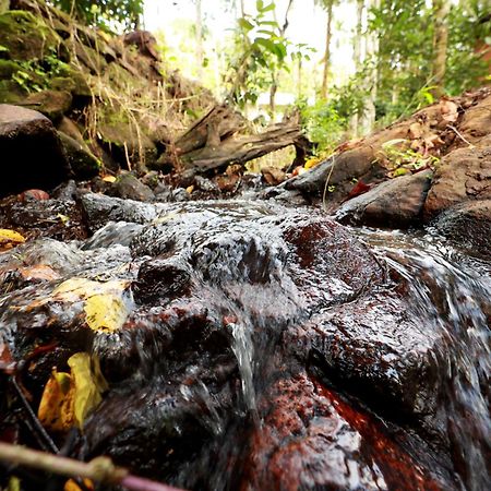 Cave Valley Wayanad Ambalavayal Bagian luar foto