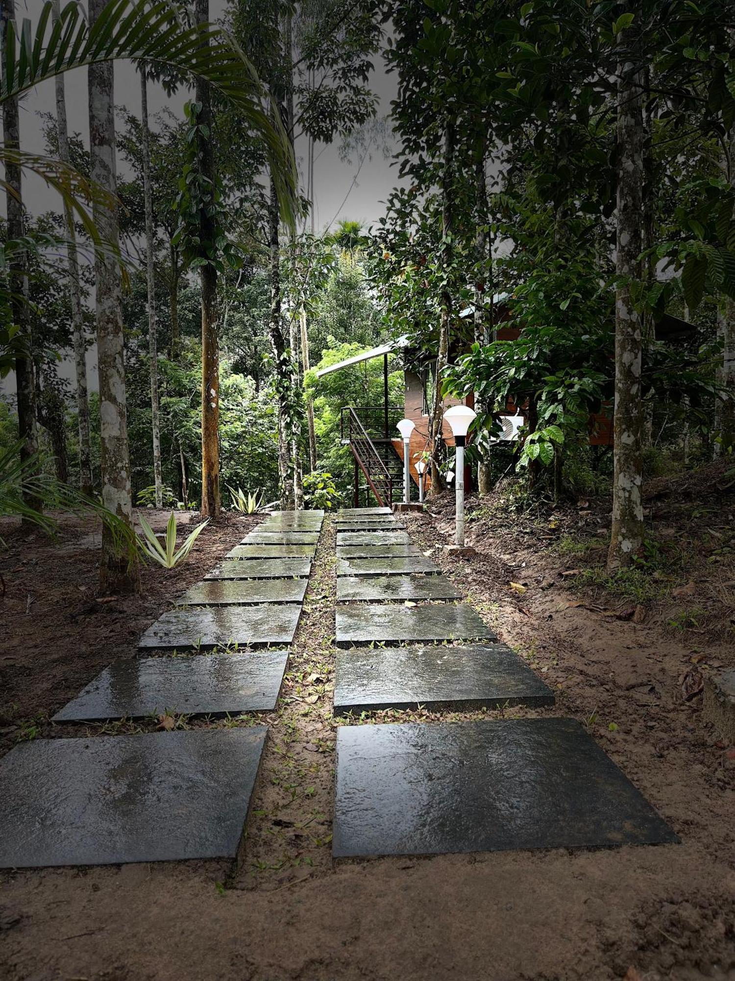Cave Valley Wayanad Ambalavayal Bagian luar foto