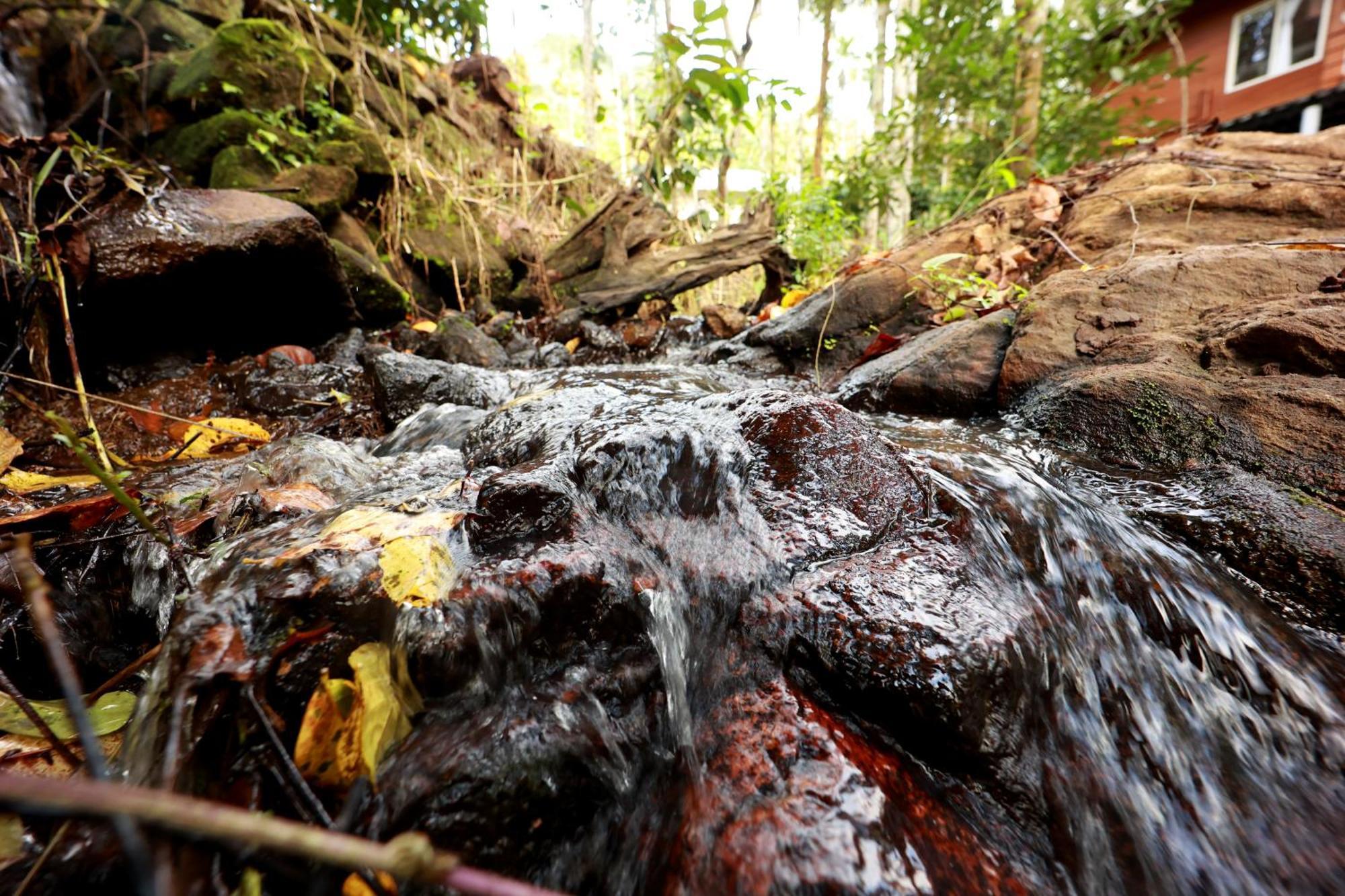 Cave Valley Wayanad Ambalavayal Bagian luar foto