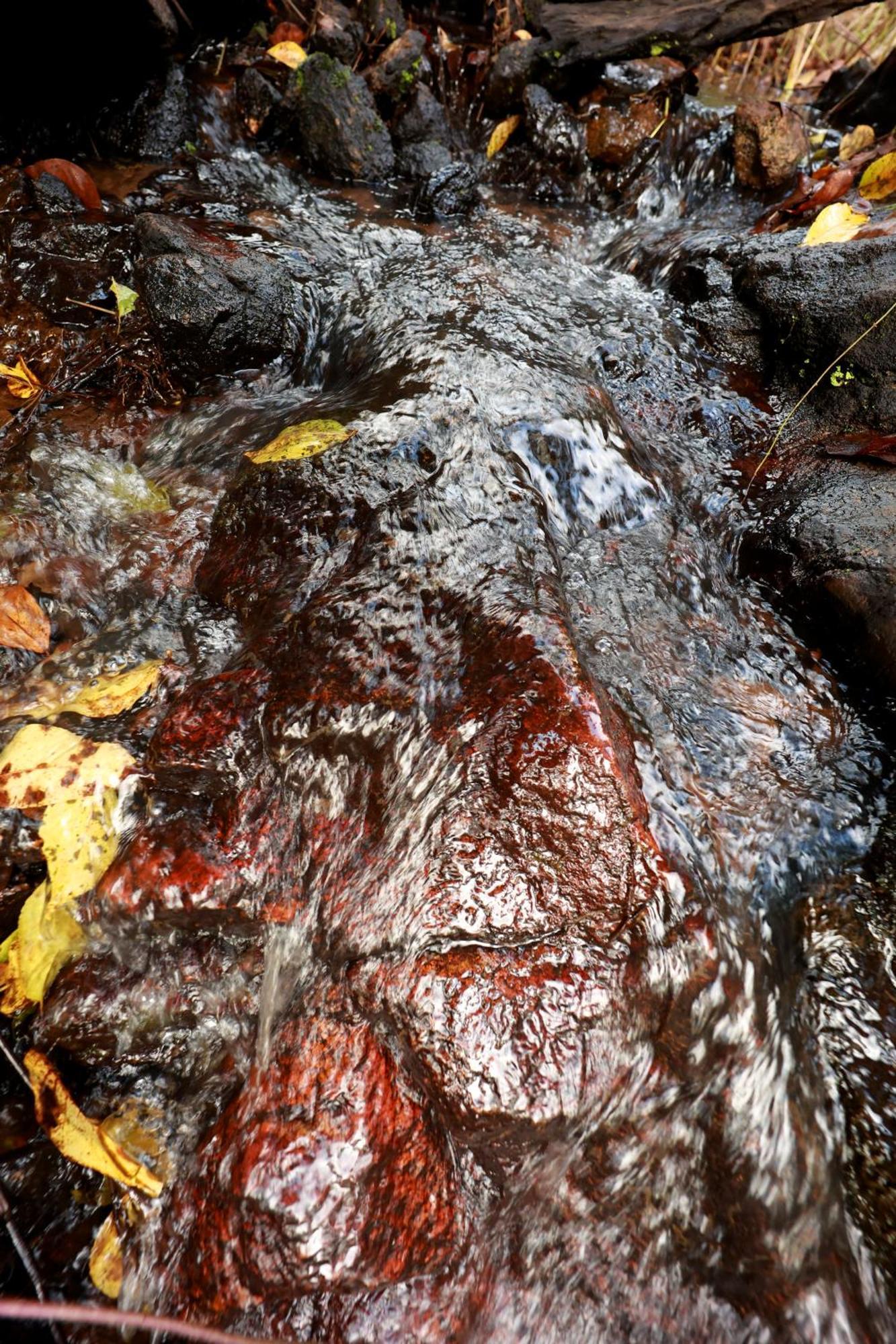 Cave Valley Wayanad Ambalavayal Bagian luar foto