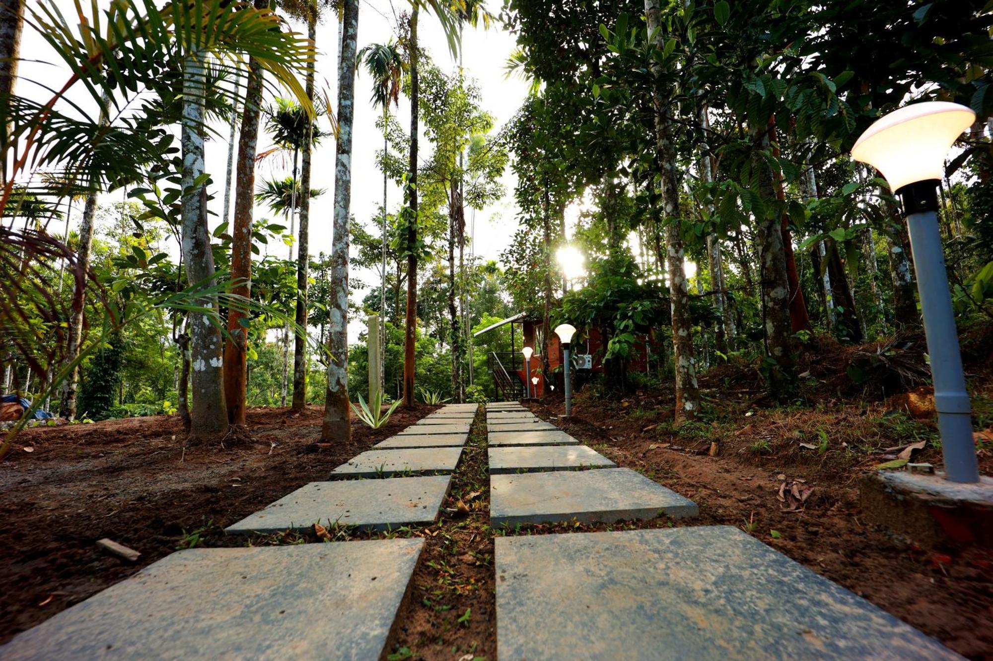 Cave Valley Wayanad Ambalavayal Bagian luar foto