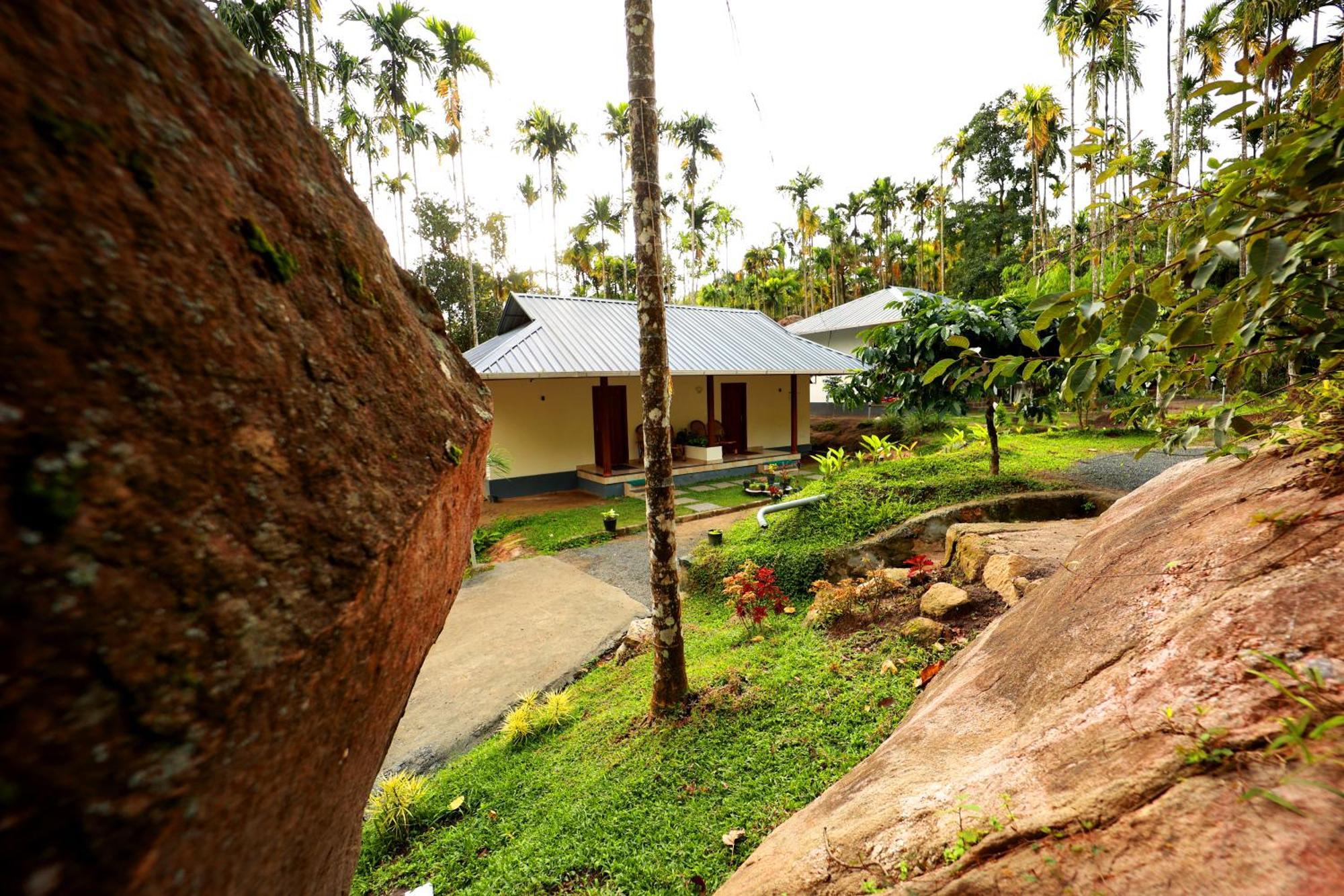 Cave Valley Wayanad Ambalavayal Bagian luar foto