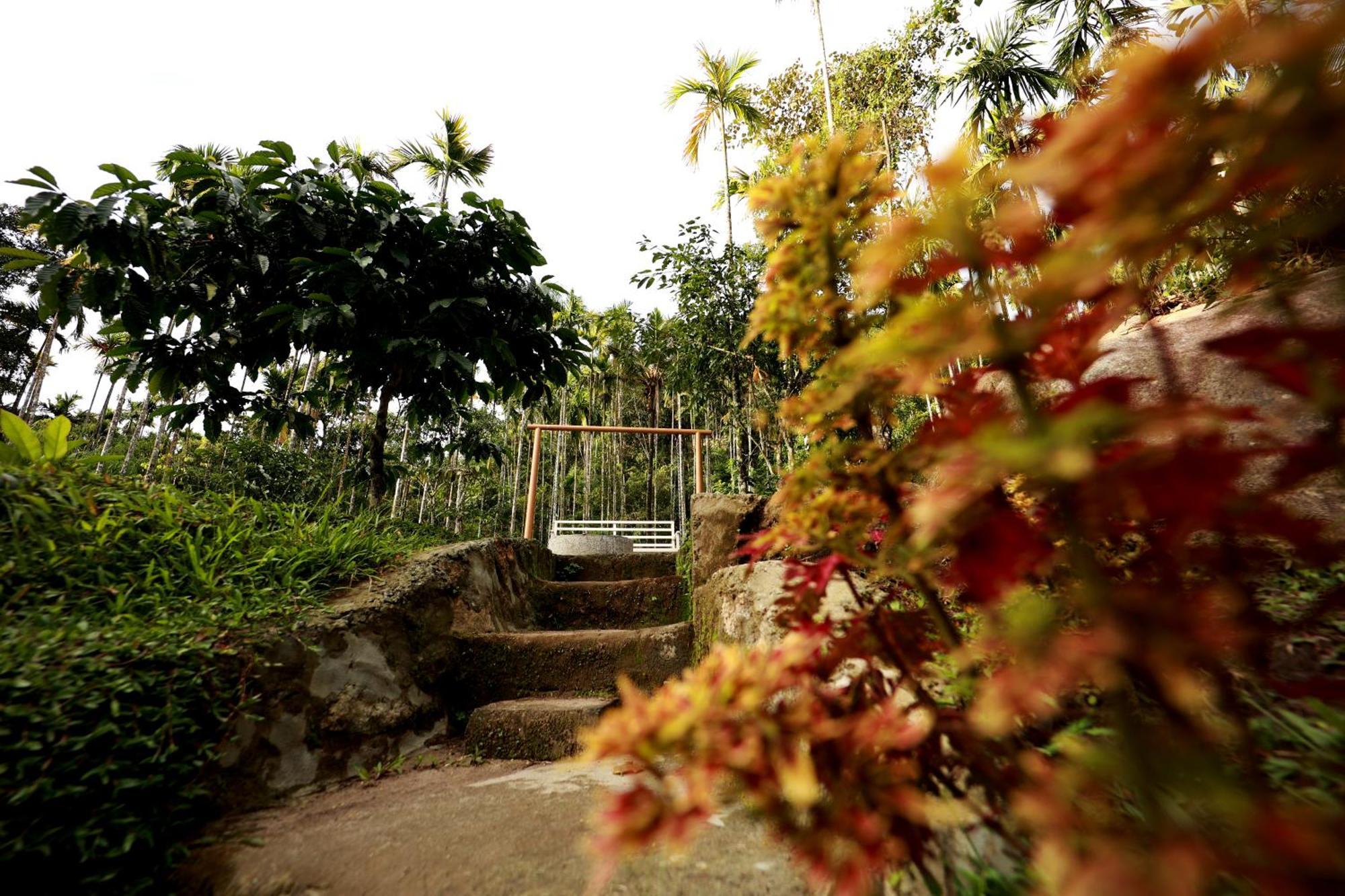 Cave Valley Wayanad Ambalavayal Bagian luar foto