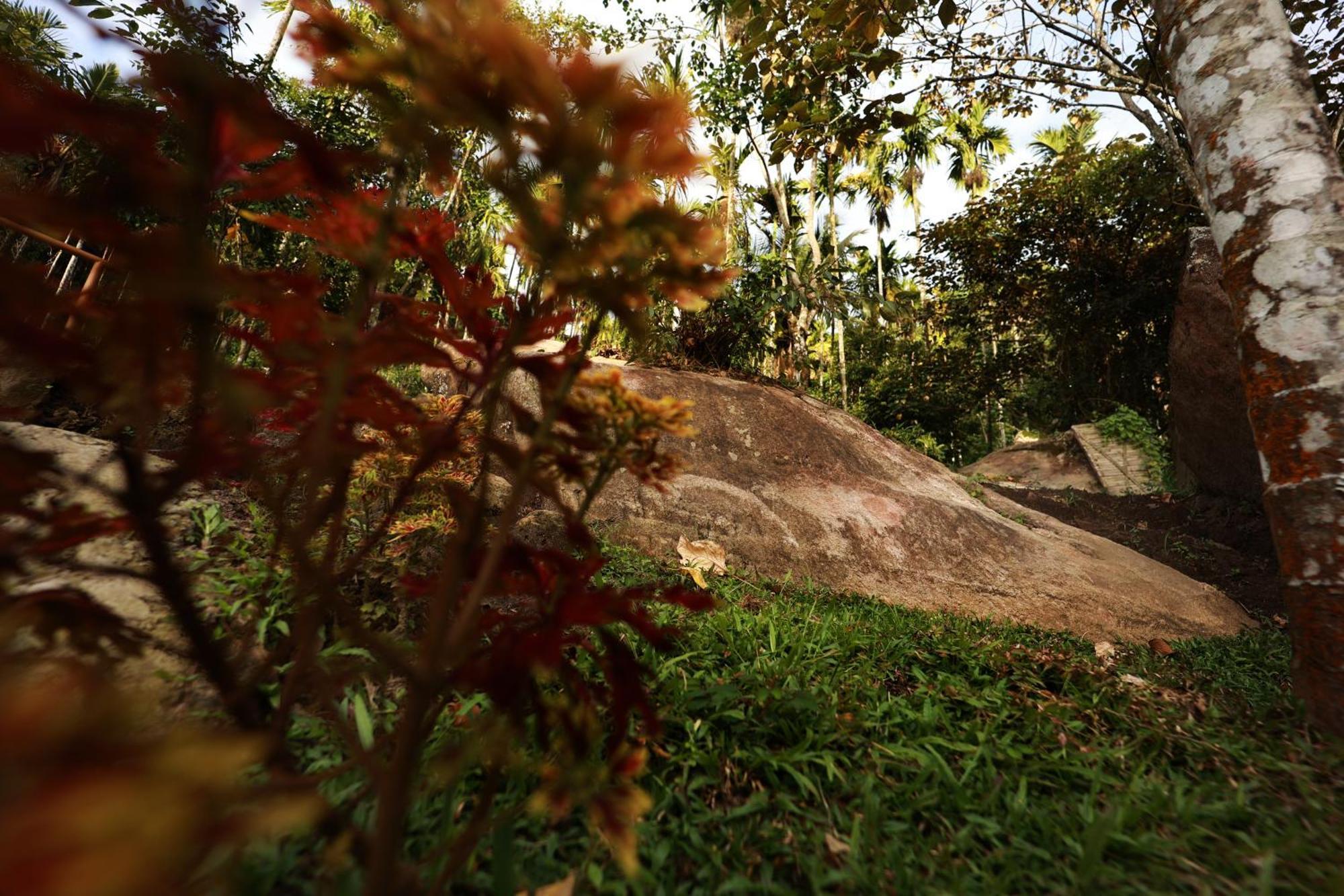 Cave Valley Wayanad Ambalavayal Bagian luar foto