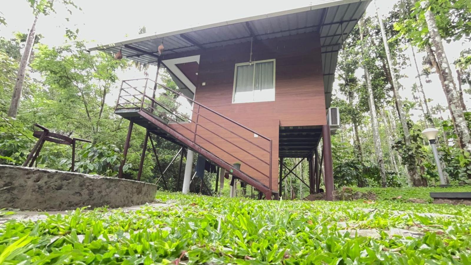 Cave Valley Wayanad Ambalavayal Bagian luar foto