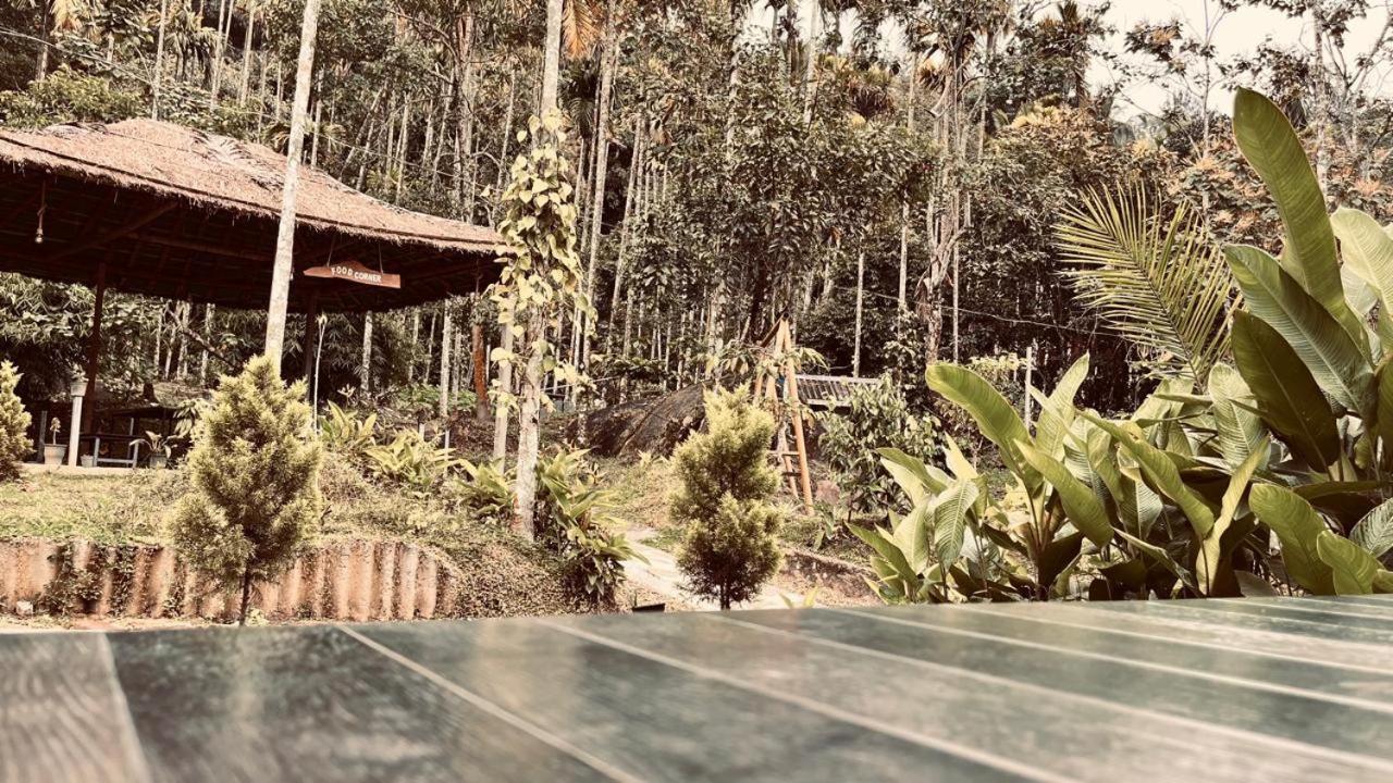 Cave Valley Wayanad Ambalavayal Bagian luar foto