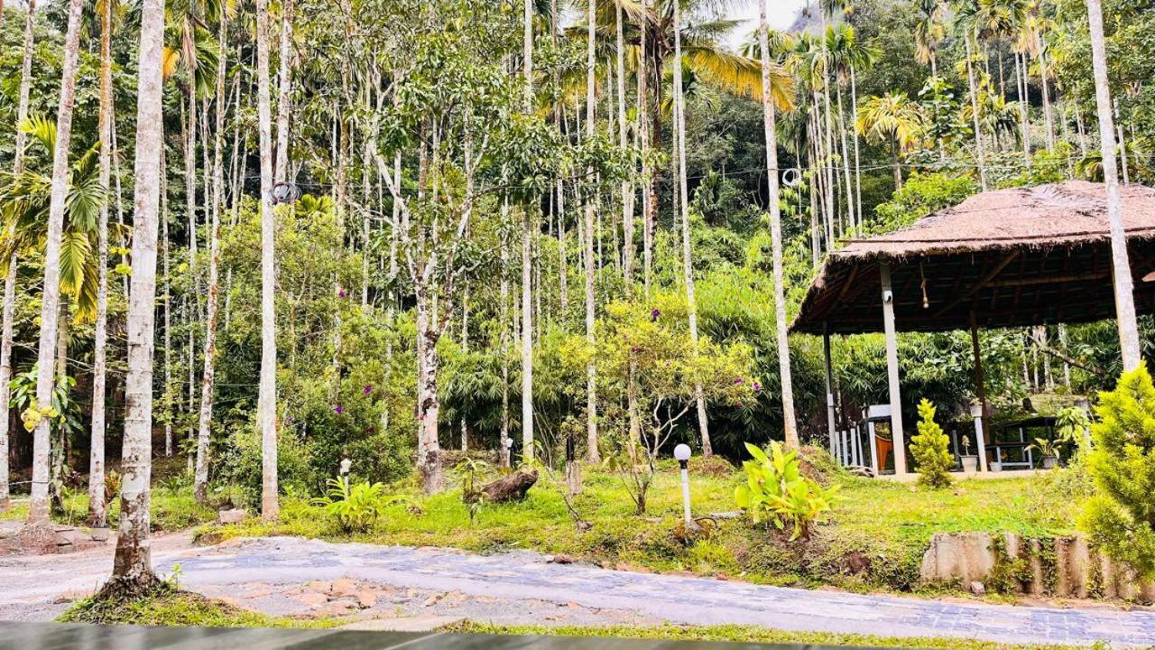 Cave Valley Wayanad Ambalavayal Bagian luar foto